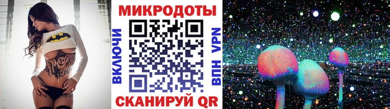 Галлюциногенные грибы Psilocybine cubensis  мориарти формула  Игра 